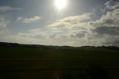 DSC_7179 (Large).JPG